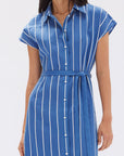 Assembly Label Ayla Stripe Shirtdress